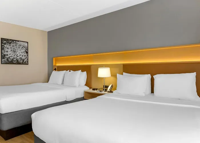 Radisson 3*
